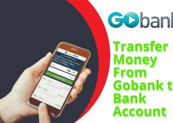 Transfer Money From Gobank to Bank Account