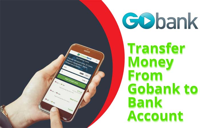 Transfer Money From Gobank to Bank Account
