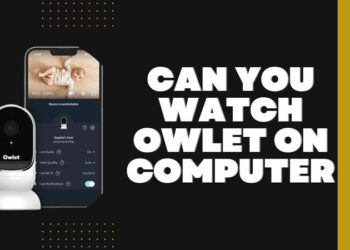 Can You Watch Owlet on Computer